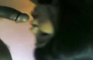 XXX Gabriella bokep sma indo terbaru 2018 Paltrova mengukur kedalaman lubangnya dengan penis hitam.