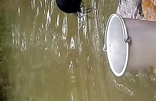XXX Pelatih senang Vyxen Steel dengan latihan bokepp indo terbaru baru